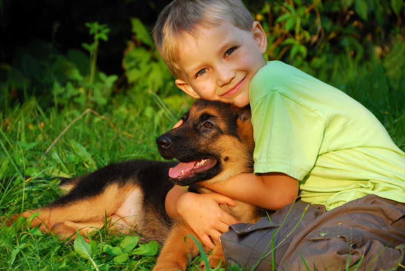 在草地上抱着狗狗的小男孩