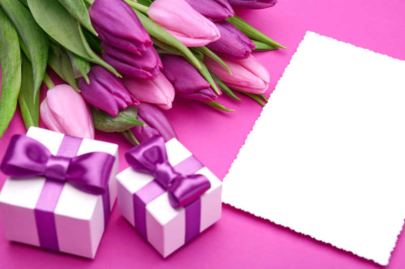 粉色背景下粉色的郁金香和礼物以及贺卡