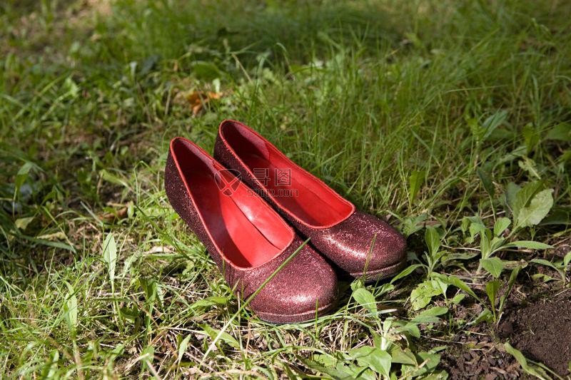 草地上的一双锃亮的鞋