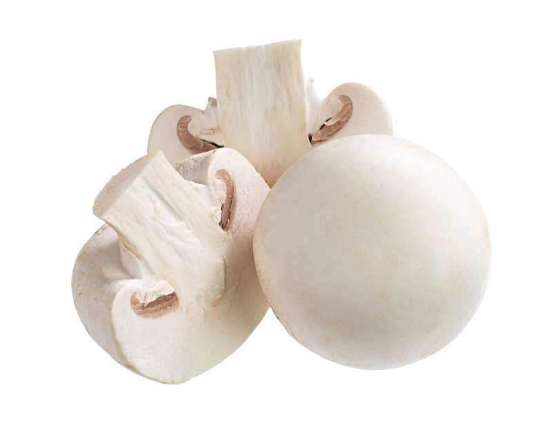 白色背景下的白蘑菇