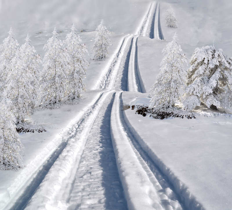 坎坷道路的滑雪比赛