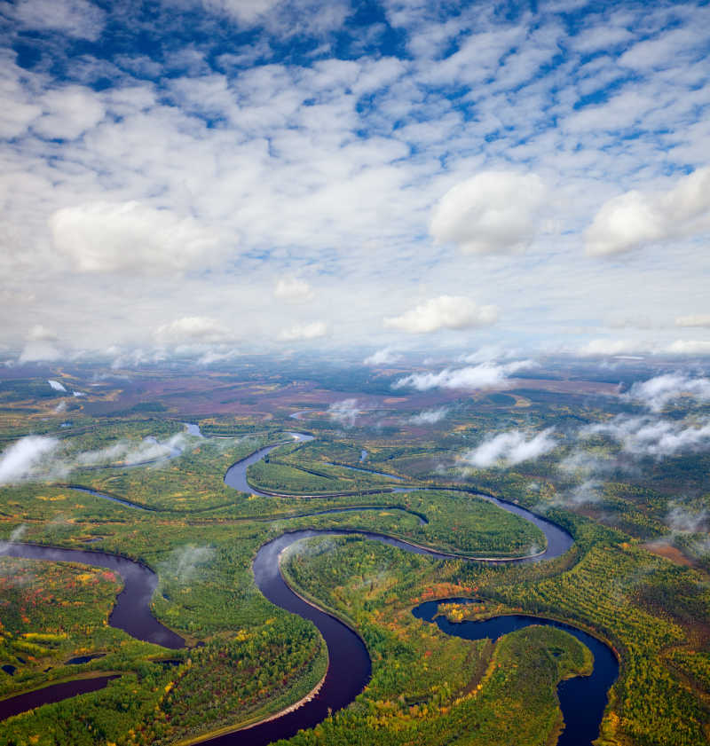 秋季森林河流的俯视图
