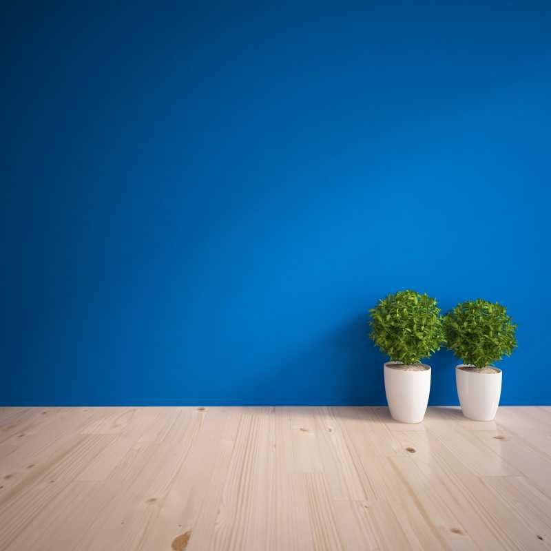 蓝色的墙面与木地板和花瓶