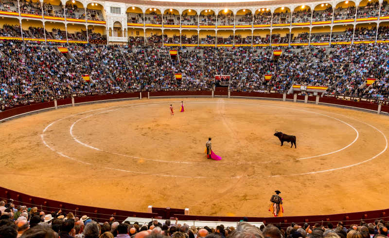一个典型的西班牙斗牛