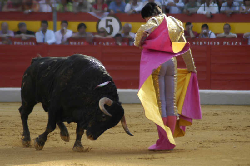 在西班牙斗牛场斗牛战斗