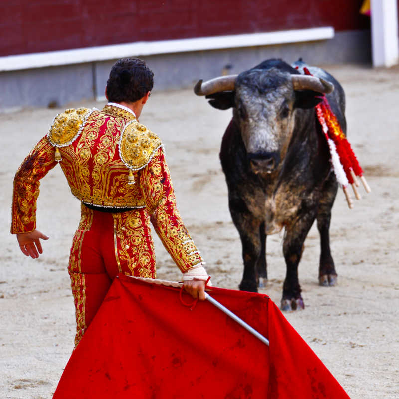 传统的西班牙斗牛