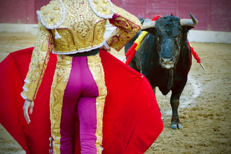 公牛盯着斗牛士在马德里的一场斗牛中