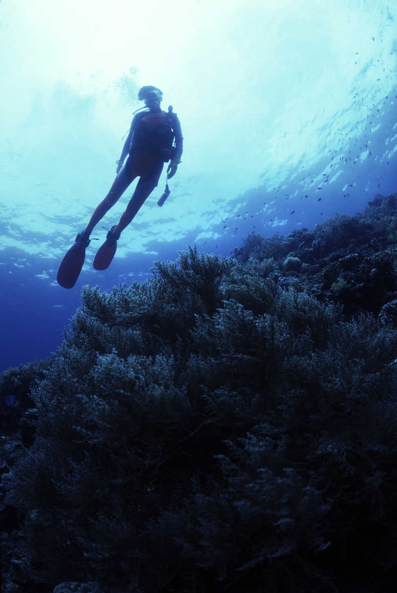 潜水员游在深蓝色的海洋