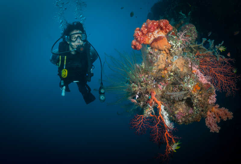 探索海底的潜水员靠近珊瑚