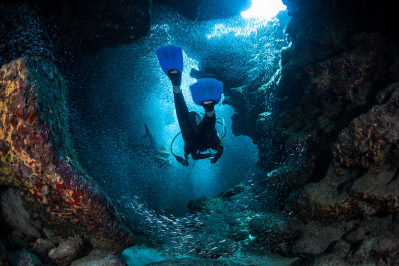 珊瑚礁洞穴中探索的潜水员