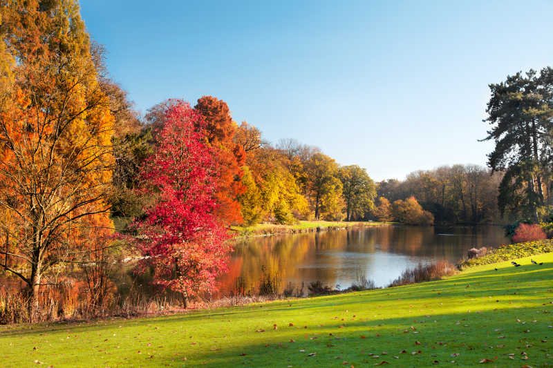 秋天湖边公园的景色