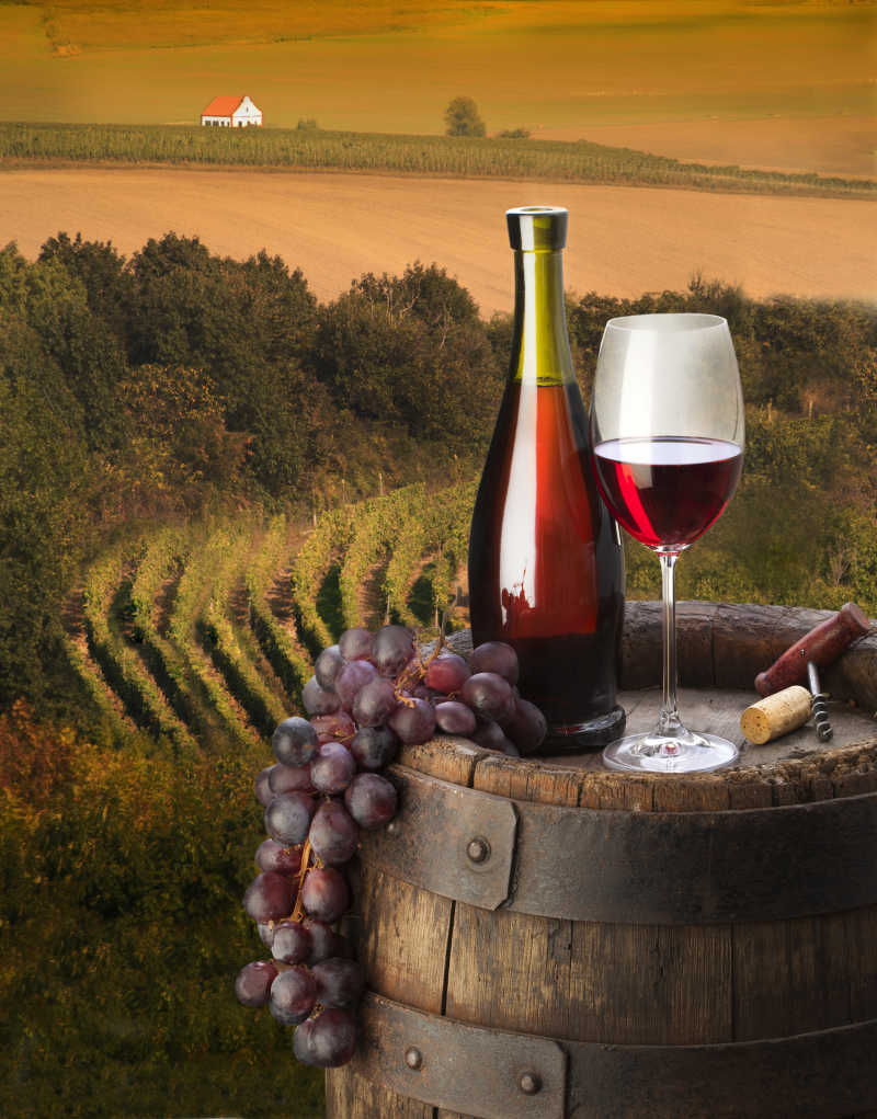 葡萄园背景上的葡萄和葡萄酒