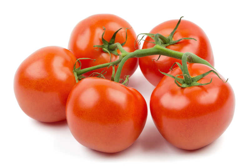白色背景下带着藤蔓的一串成熟的西红柿