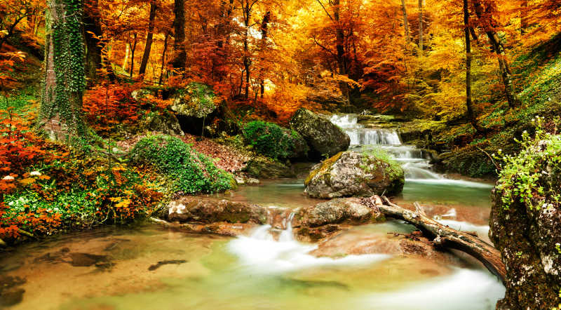 秋天的林间小河