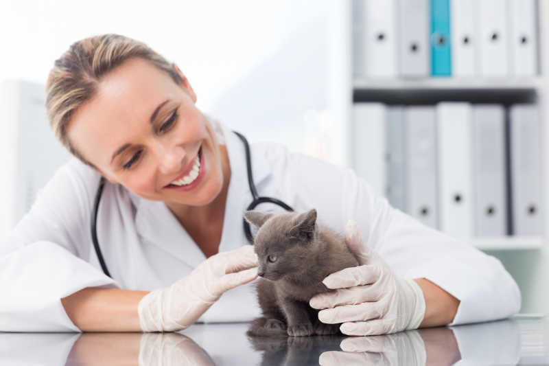 微笑的女兽医看着手里的小猫咪