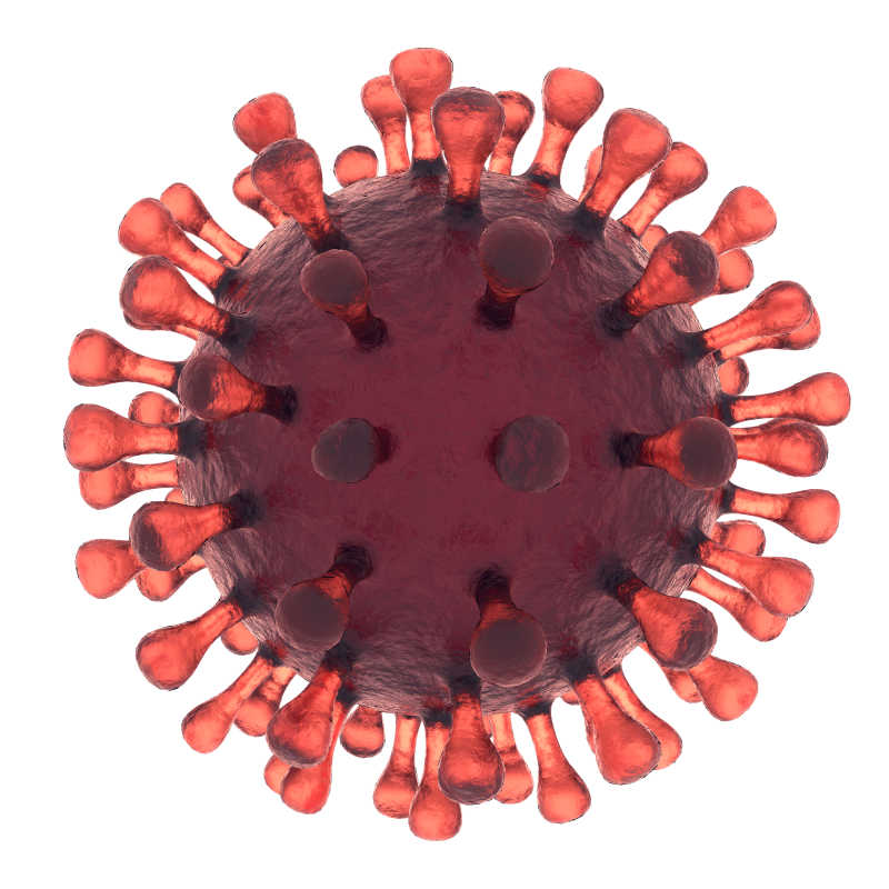 红色球状病毒
