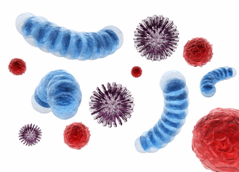 病毒和细菌细胞
