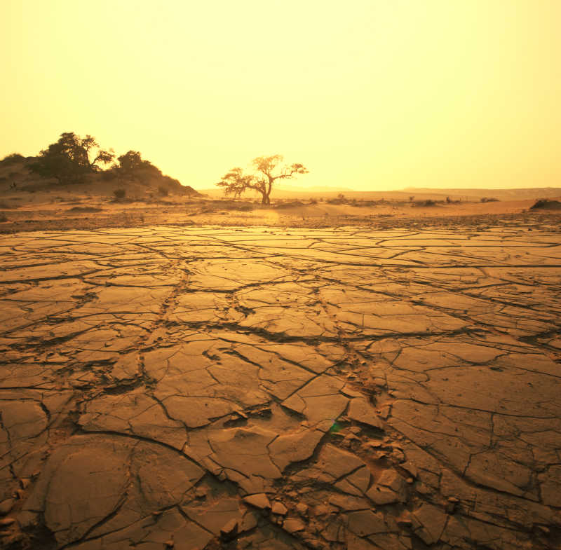 非洲干旱的土地