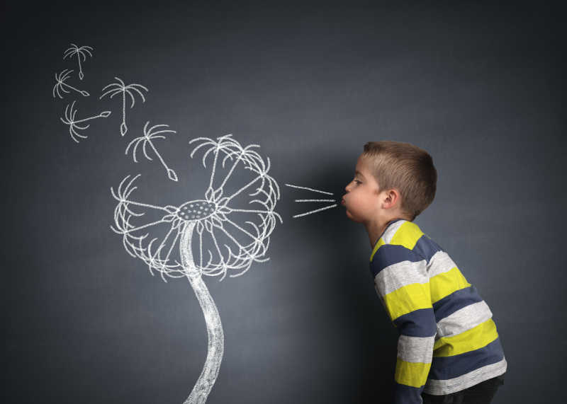 孩子在黑板上吹蒲公英种子的愿望概念