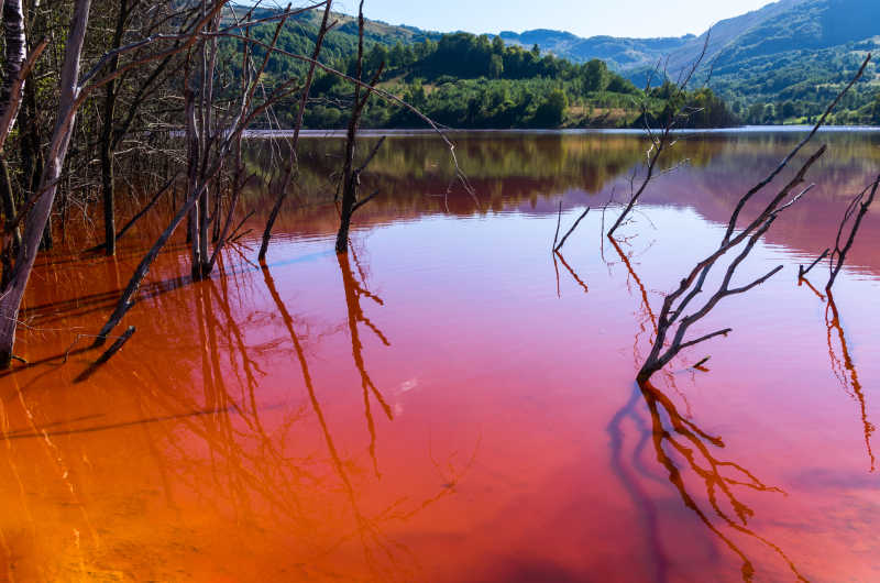 湖面被污染成了红色