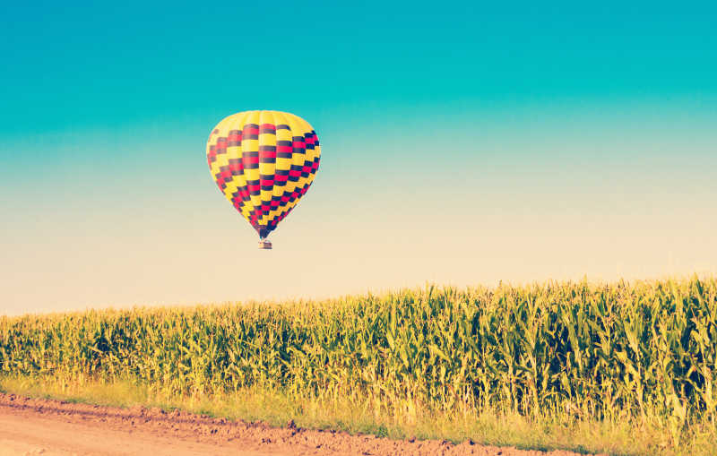 蓝色的天空背景下飞跃玉米地的彩色热气球