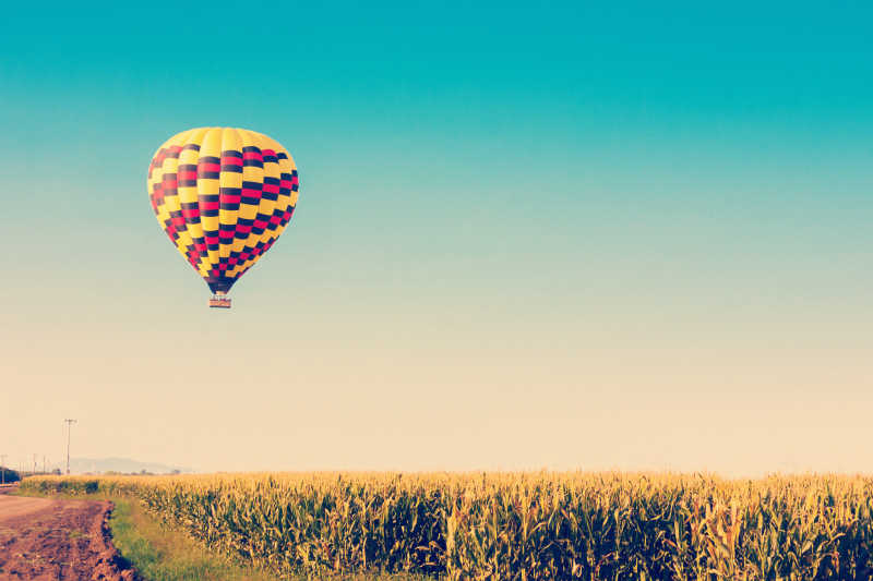 蓝天背景下飞跃玉米地的热气球