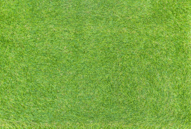 广阔的的绿色草坪