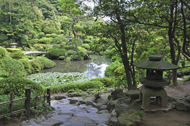 坂田市夏季全景