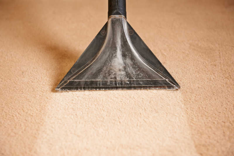 专业清洗地毯