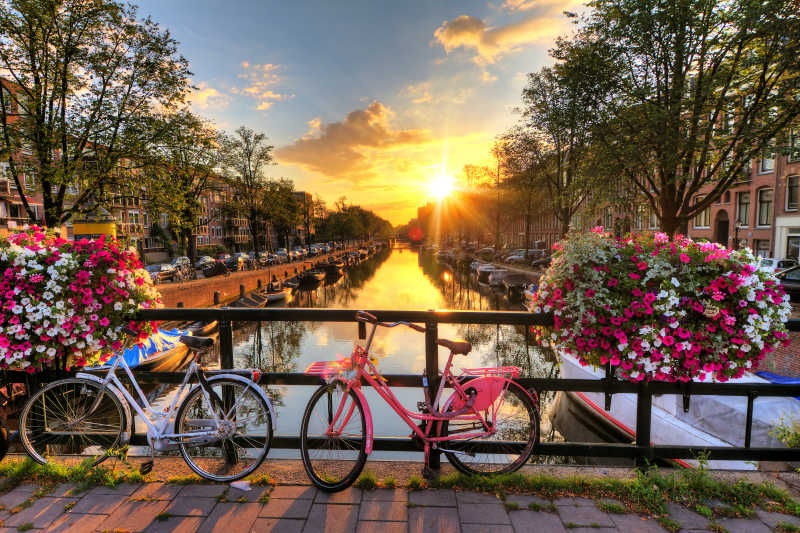 桥上有花和自行车的美丽日落