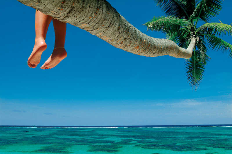 海滩上椰子树上的女人腿