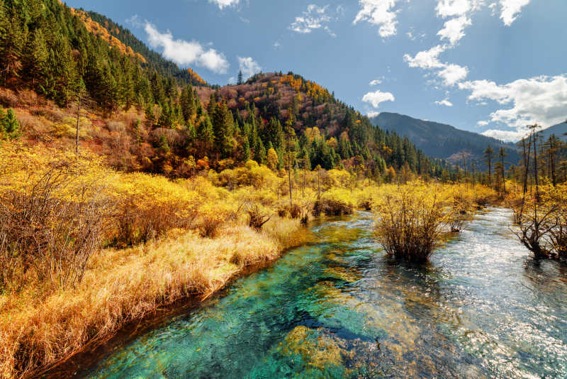 大山里秋天景色和美丽的溪流