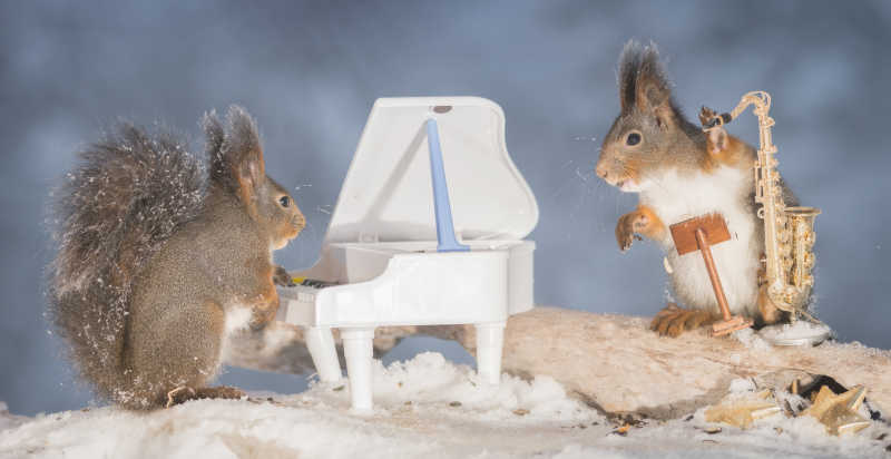 弹钢琴和吹萨克斯的两只松鼠
