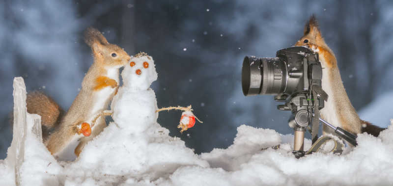 两只可爱的松鼠在飘着雪花的户外用照相机为小雪人摄影