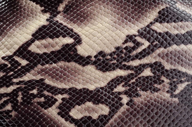 无缝纹理背景的褐色蛇皮革