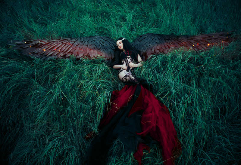 躺在草地上的黑翼天使