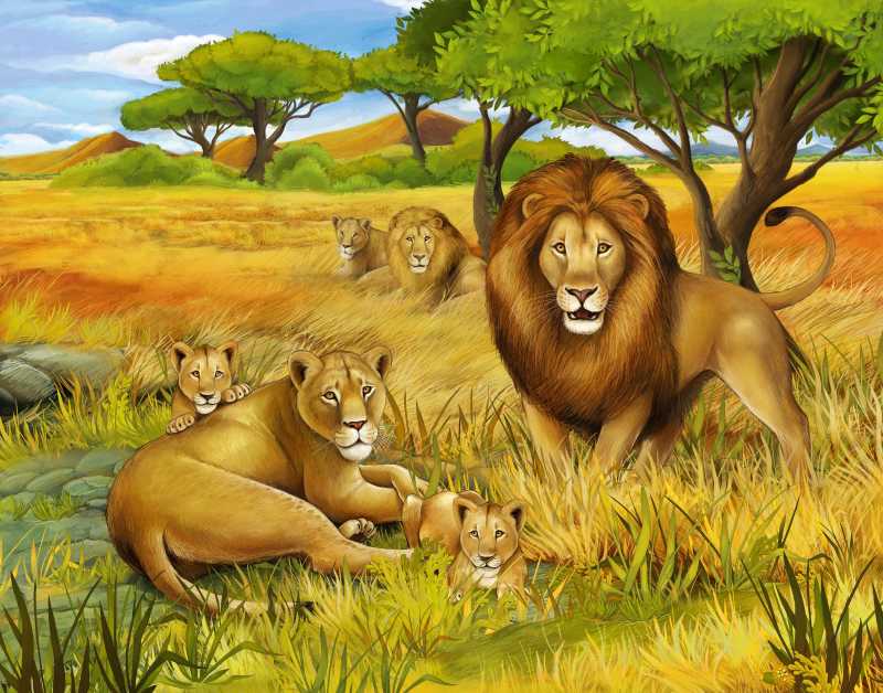 草地上许多狮子的插画