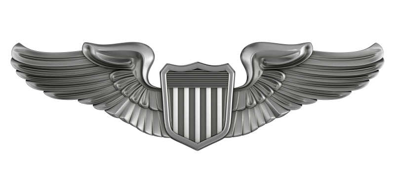 3D飞行员徽章