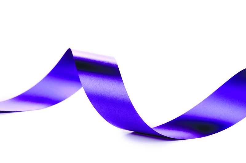 紫花丝带