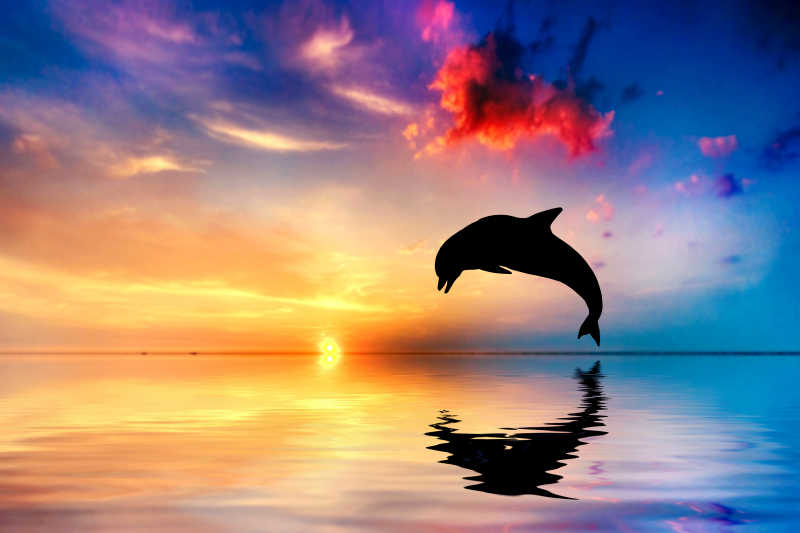 落日海面上跳跃的海豚