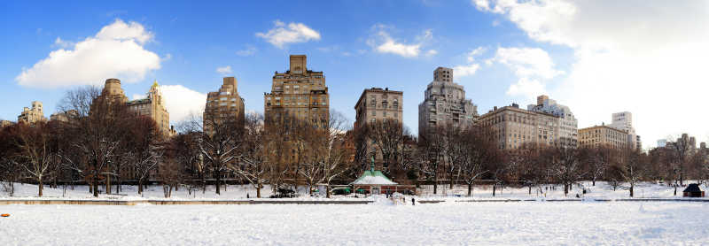 冬季的纽约市曼哈顿中央公园