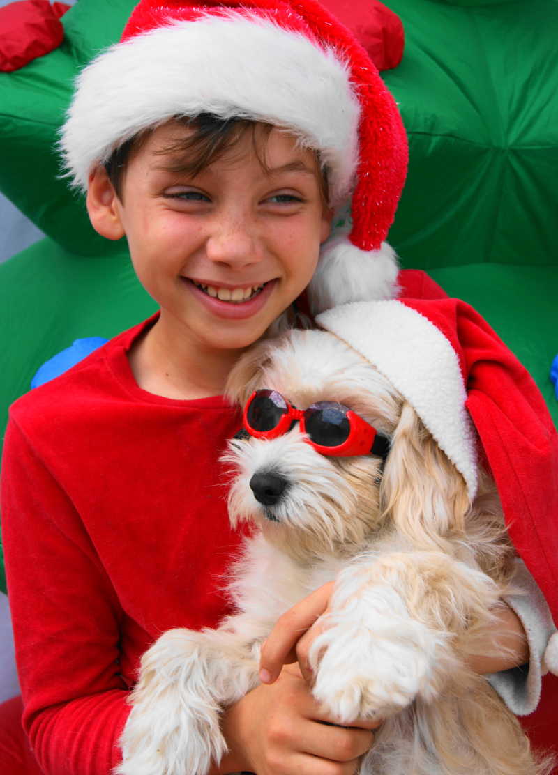 圣诞节里的小狗和快乐男孩