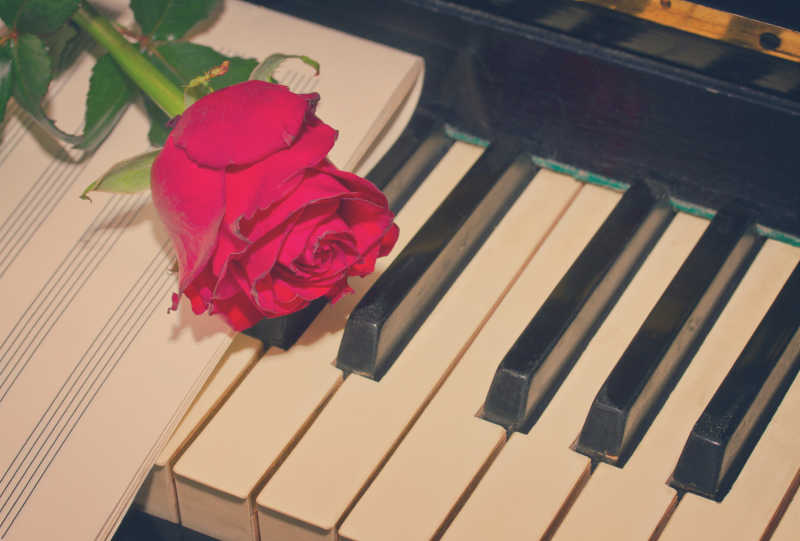 放在空白乐谱上的红玫瑰与钢琴