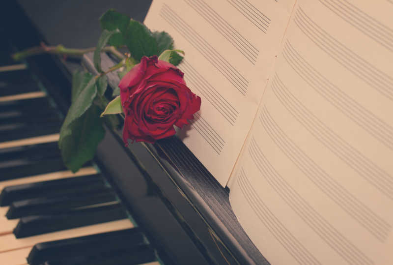 钢琴上放着的空白乐谱和红玫瑰
