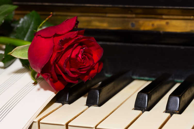 红玫瑰与钢琴乐谱本子