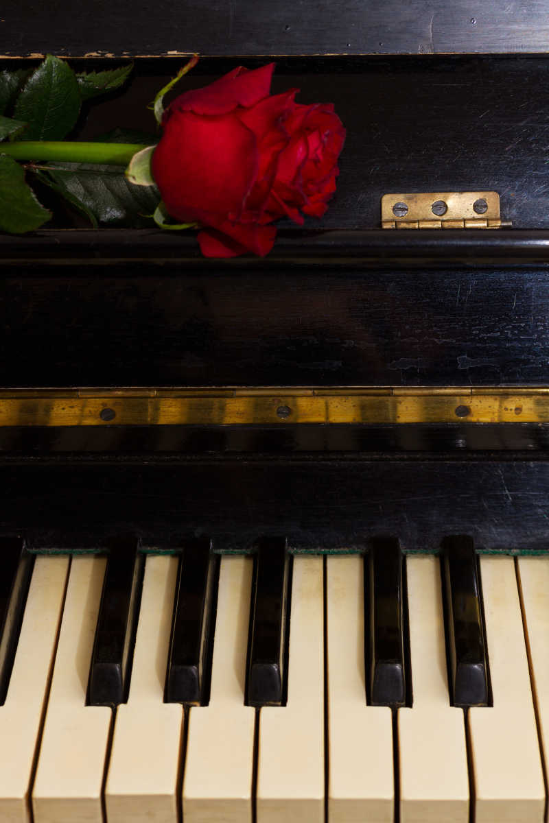 古典钢琴上的新鲜红玫瑰花