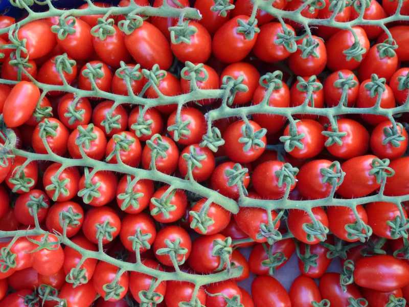 许多多汁的西红柿在市场货摊上出售