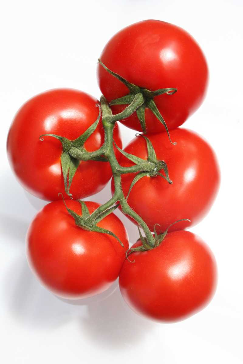 在白色背景下的新鲜番茄