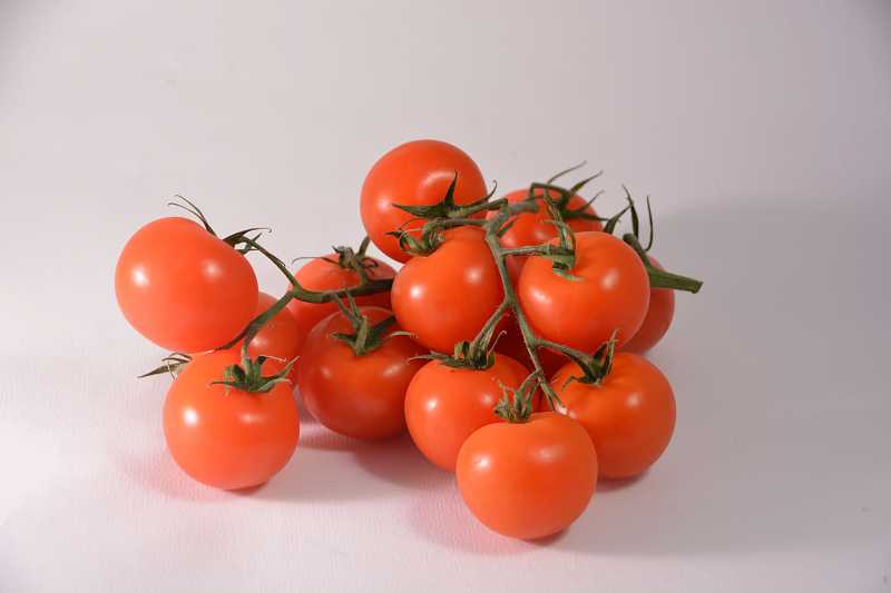 白色背景上的红色西红柿