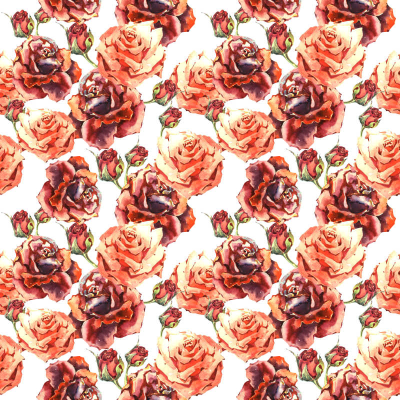 野玫瑰在水彩画风格的花卉图案
